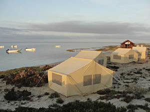 Laguna San Ignacio Base Camp, Whale watching Baja Mexico trips